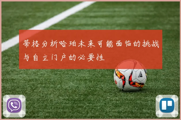 蒂格分析哈珀未来可能面临的挑战与自立门户的必要性