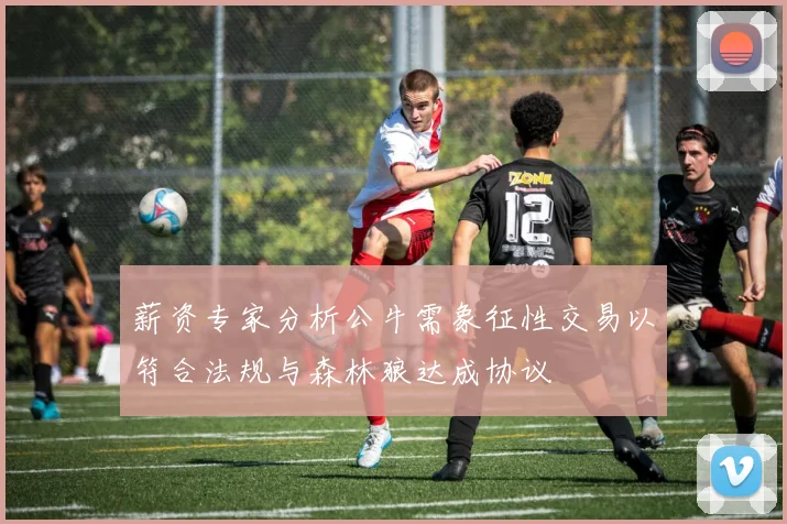 薪资专家分析公牛需象征性交易以符合法规与森林狼达成协议